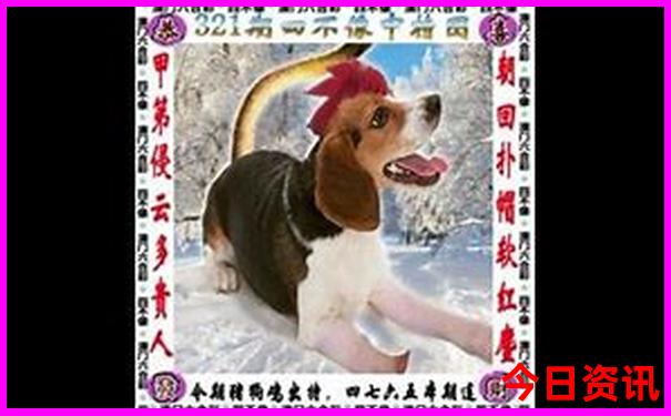 附近景点排行榜前十名